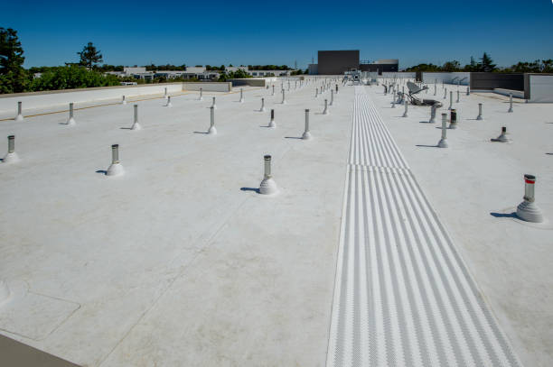 Trusted Warren, MI Roofing Service Experts